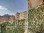 Immagine 19