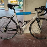 Bici da corsa