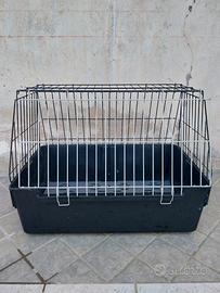 Kennel per cani