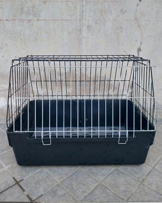 Kennel per cani