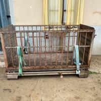 Pesa / bilancia per bovini