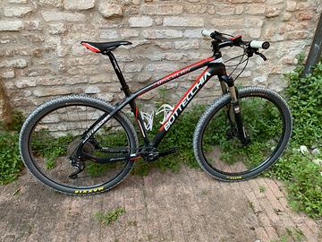 Bottecchia zoncolan 29 - Tg L