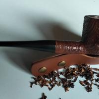 Pipa rusticata Italy