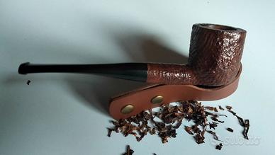 Pipa rusticata Italy