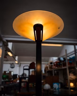 Lampada piantana alogena