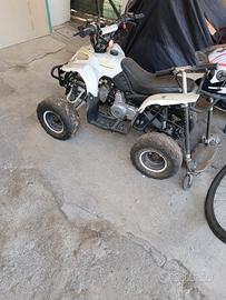 quad atv