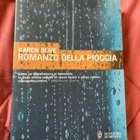 Romanzo della pioggia - Karen Duve