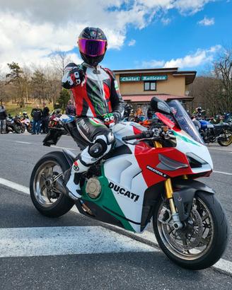 TUTA SPARTA MODELLO ARES