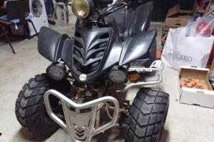 quad kayman 150 wt