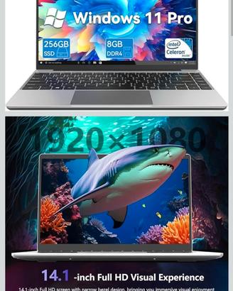 Intel Celeron N4020 Portatile da 14.1", Memoria DD