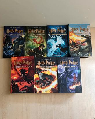 Saga Completa Harry Potter - Jonny Duddle (Salani)