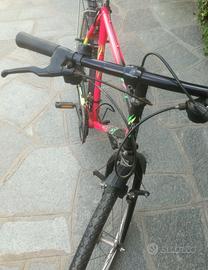 Bicicletta Wonder