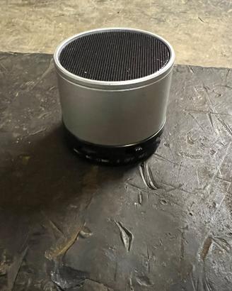 Mini Cassa bluetooth WSTER argento