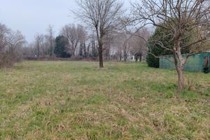 Superficie: 2000 m², urbanisticamente edificabili