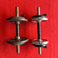 Coppia manubri circa 8 kg ciascuno