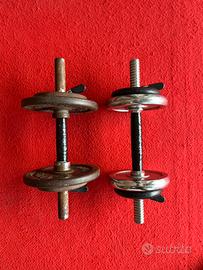 Coppia manubri circa 8 kg ciascuno