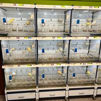 Batterie di Gabbie per canarini (voliere)