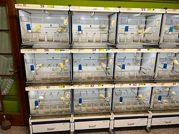 Batterie di Gabbie per canarini (voliere)