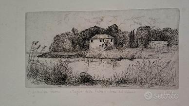 OCCARI Carolina Marisa Occari Incisore e pittrice,