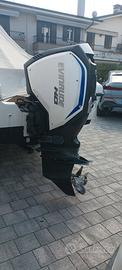 Evinrude 150