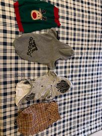 Cappttini per animali