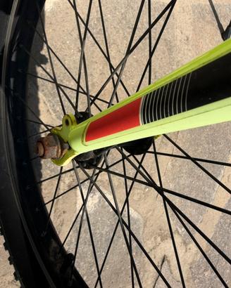 Bicicletta bambino