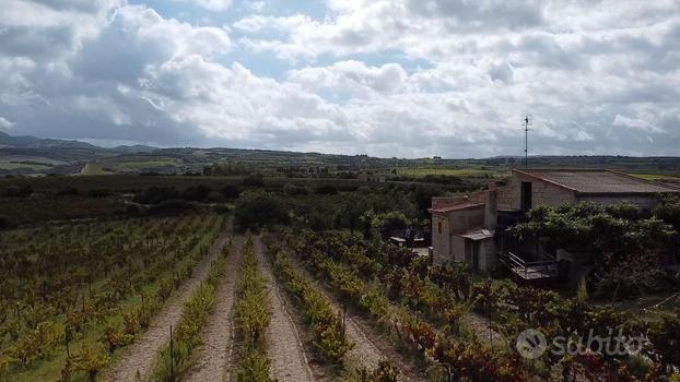 Terreno in agro di Sorso