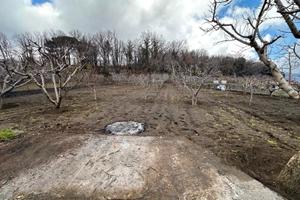 Cod.TA132 Terreno agricolo zona Tarderia