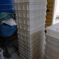 cassette lievitazione per pizza