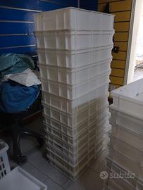 cassette lievitazione per pizza