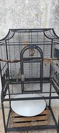 Gabbia per pappagalli🦜 