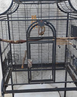 Gabbia per pappagalli🦜 