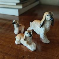 Set Levrieri Afgani di porcellana 