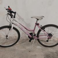 Bicicletta MTB da donna