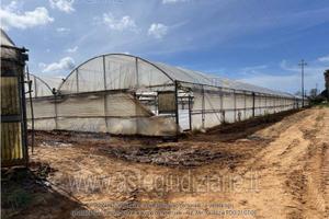 Terreno Agricolo Anzio [A4342486]