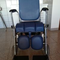 Carrozzina disabili Vermeiren