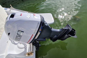 Fuoribordo Selva Murena 40/78 xsr