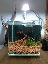 Acquario cubo blu bios