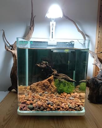 Acquario cubo blu bios