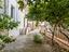Immagine 11