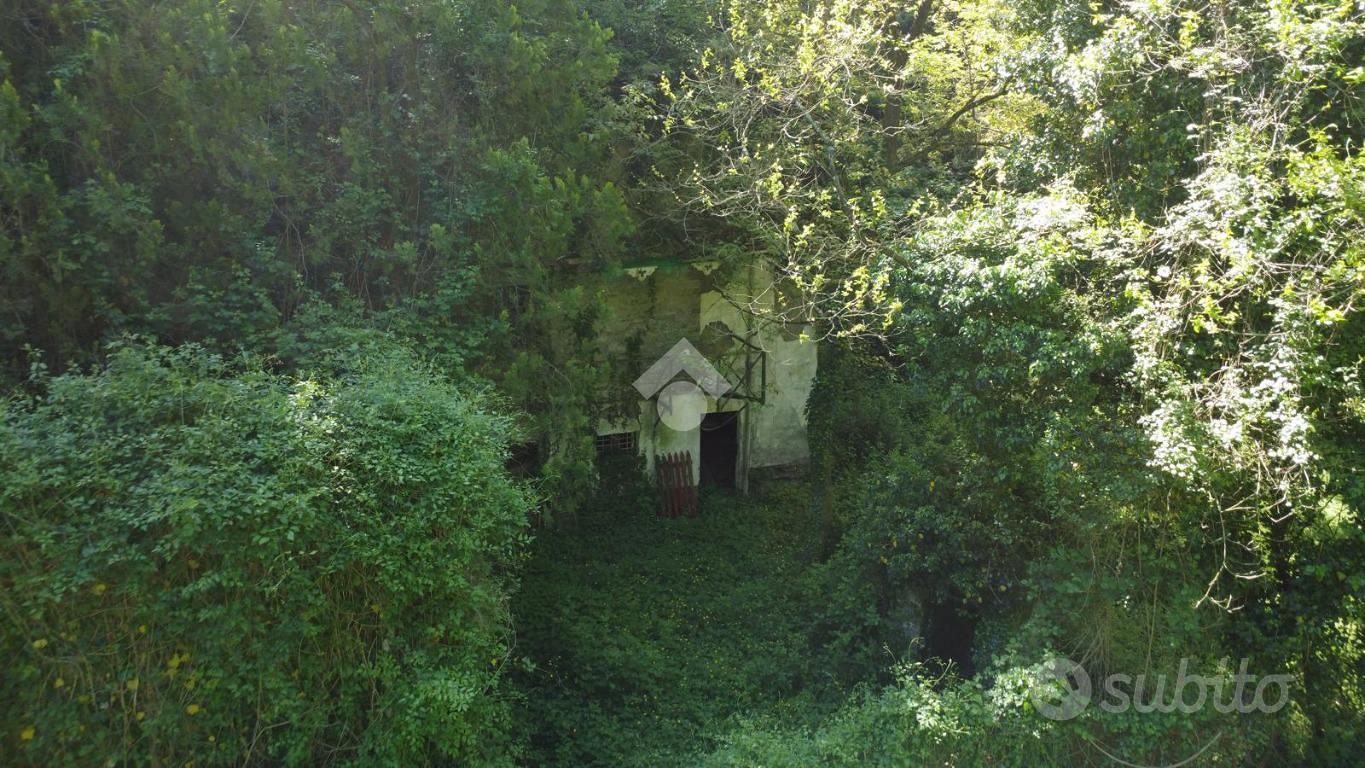 RUSTICO A PISTOIA - Vista 4