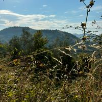 Casa semi indipendente 144 mq