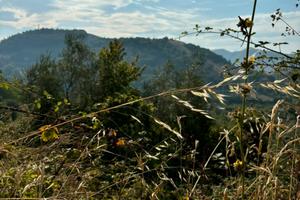 Casa semi indipendente 144 mq