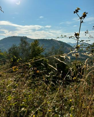 Casa semi indipendente 144 mq