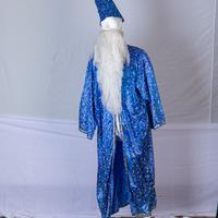 Costume di MAGO MERLINO