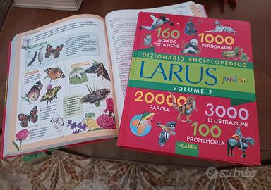 Dizionario enciclopedico