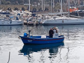 Barca da pesca