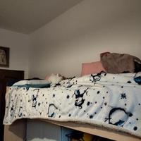 Letto rialzato