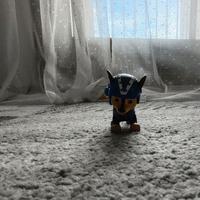 Chase Paw Patrol 