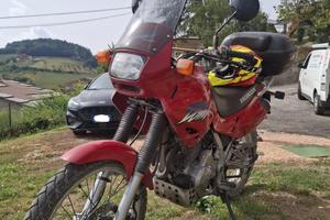 Dominator